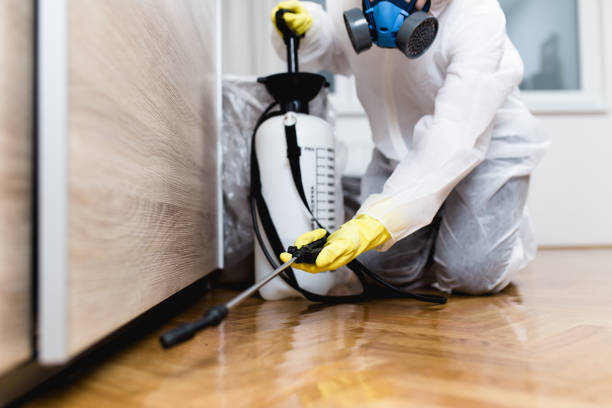 Best Local Pest Control Services  in Andalusia, IL