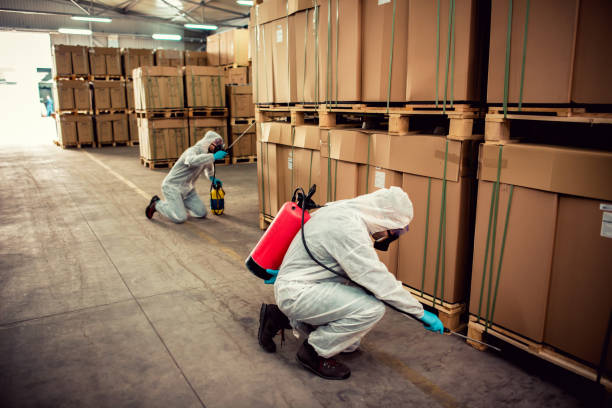 Best Mosquito Control Services  in Andalusia, IL