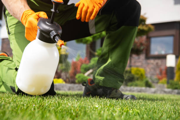 Best Cockroach Control Services  in Andalusia, IL