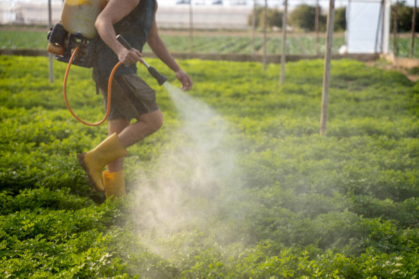 Best Pest Control Near Me  in Andalusia, IL