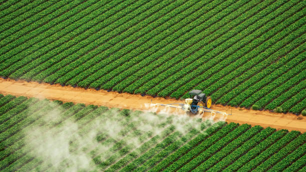 Best Termite Control Services  in Andalusia, IL