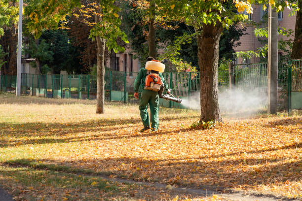 Best Pest Inspection Near Me  in Andalusia, IL