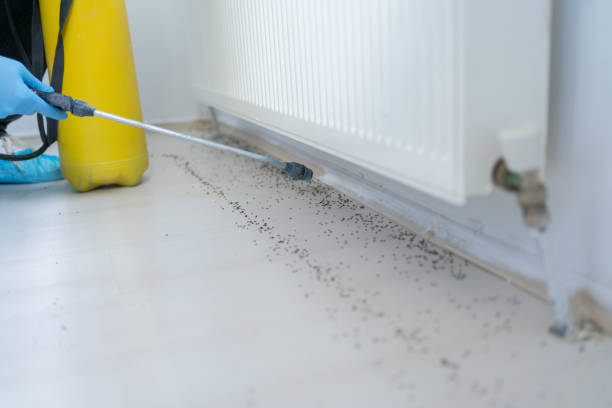 Best Ant Control Services  in Andalusia, IL