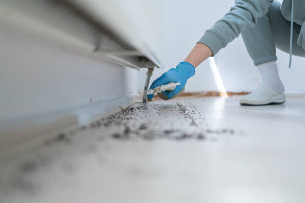 Best Pest Control for Homes  in Andalusia, IL