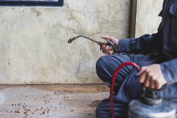 Pest Control for Restaurants in Andalusia, IL